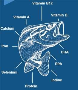 الفيتامينات الموجودة في السمك